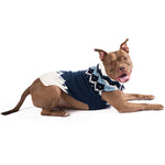 Midnight Ski Bum Dog Sweater