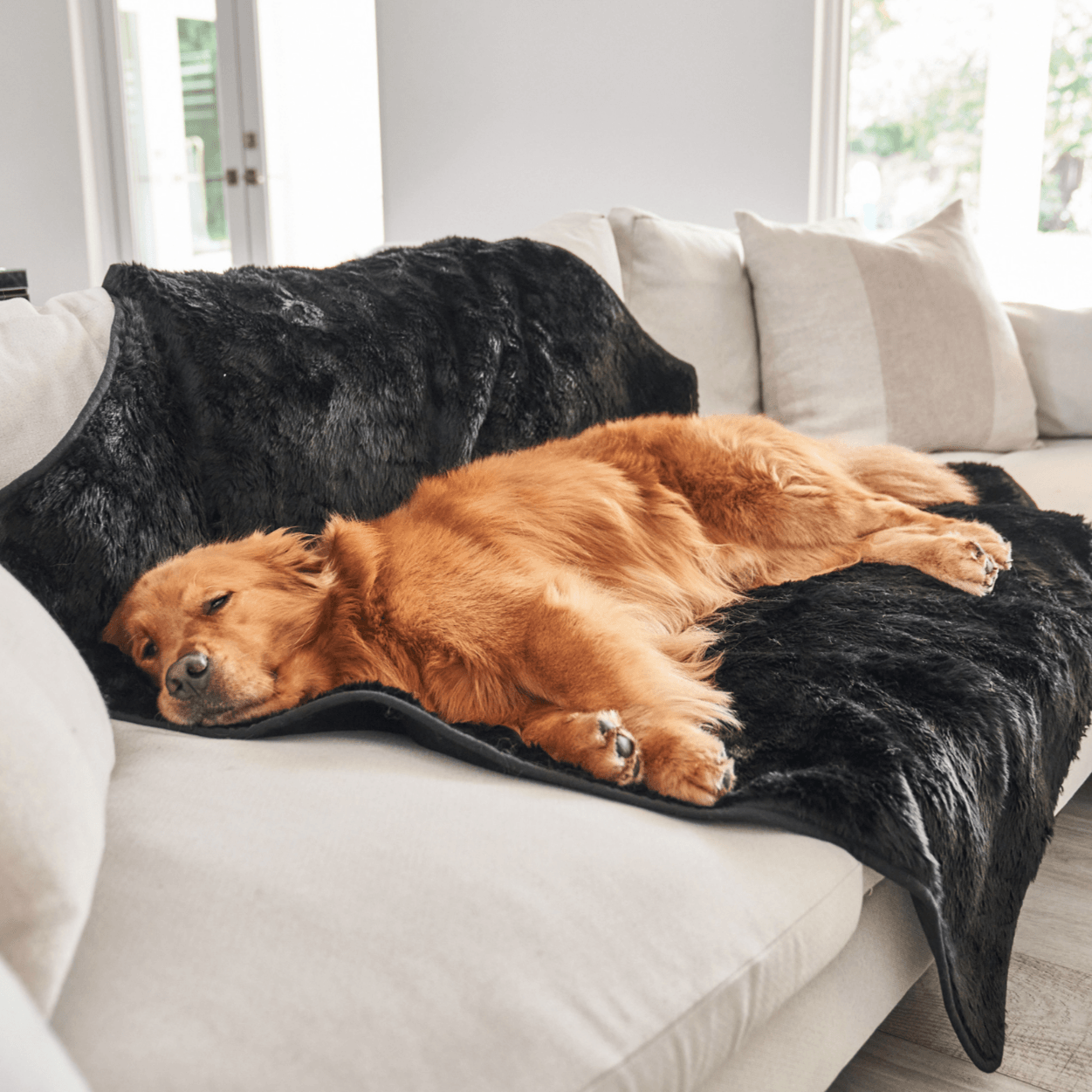 PupProtector™ Short Fur Waterproof Throw Blanket - Midnight Black - Southlake Paws