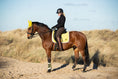 Load image into Gallery viewer, Southlake Paws Mimosa Saddle Pad on a brown horse, rider in black attire, yellow accents, beach setting with sand and grass.
