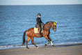 Load image into Gallery viewer, A rider in black attire on a brown horse wearing a yellow Mimosa Saddle Pad, trotting along a beach by the water.
