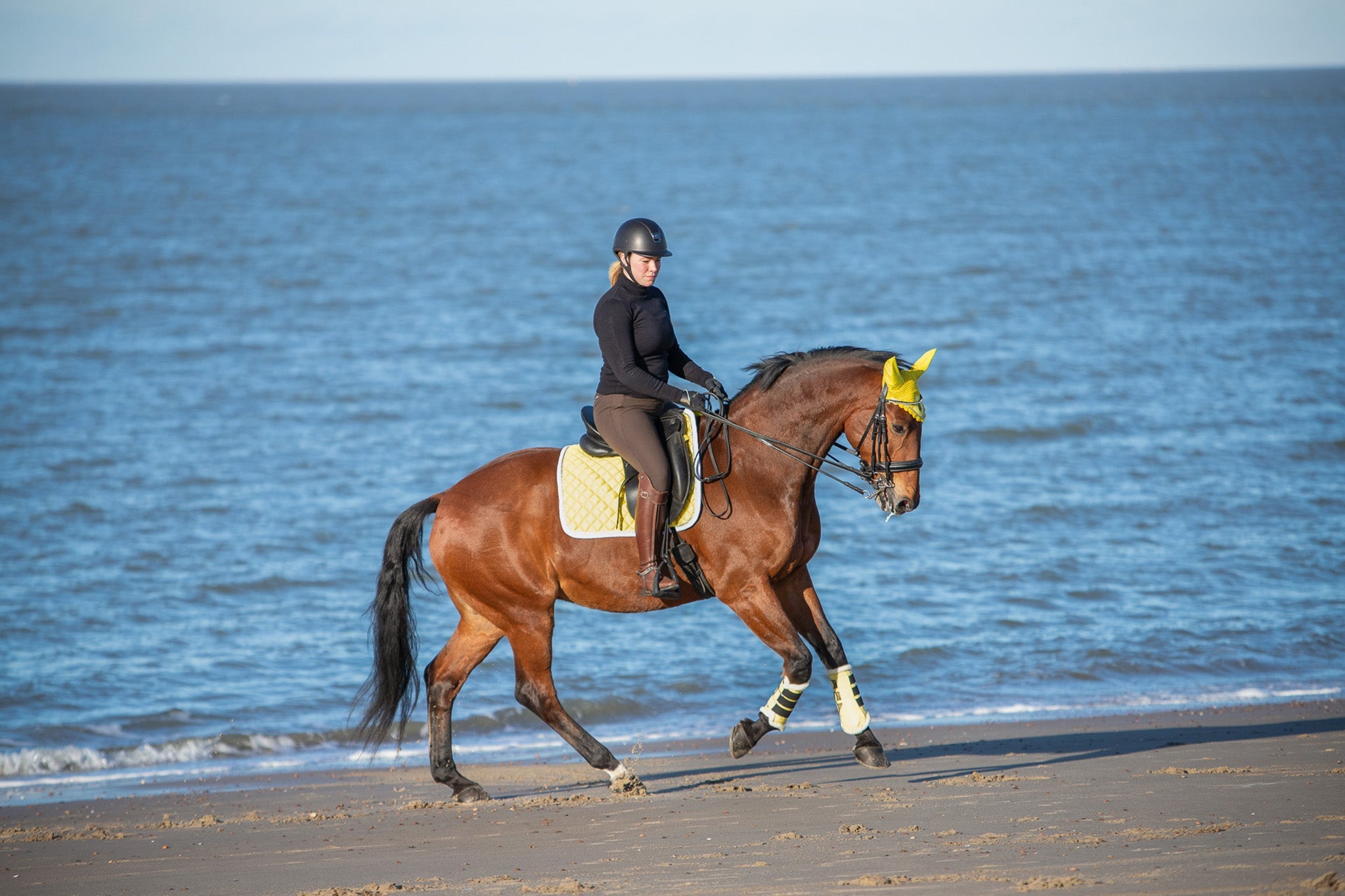 A rider in black attire on a brown horse wearing a yellow Mimosa Saddle Pad, trotting along a beach by the water.