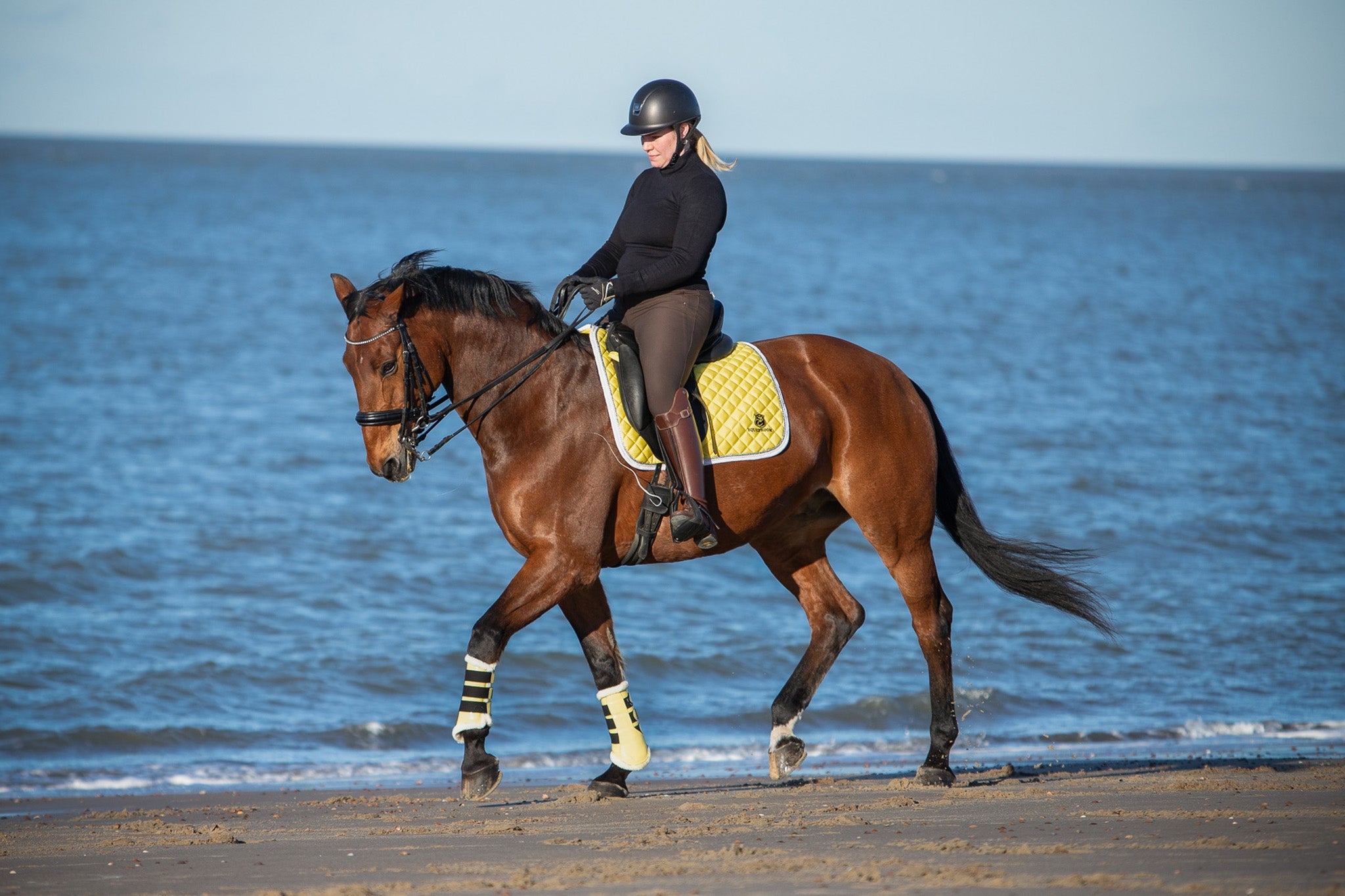 A rider in black attire on a brown horse, featuring a yellow Southlake Paws Mimosa Saddle Pad, trotting by the beach.