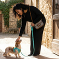 Load image into Gallery viewer, EcoBark Mint Turquoise Dog Leash - Comfort Grip Padded Leash - 4ft, 5ft, and 6ft Dog Leash for Small and Medium Dogs
