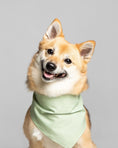 Load image into Gallery viewer, PARTY BANDANA
