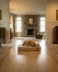 Load image into Gallery viewer, The Modern Day Bed — Boucle Lounge Dog Bed | High-Density Foam, Waterproof Lined, Washable
