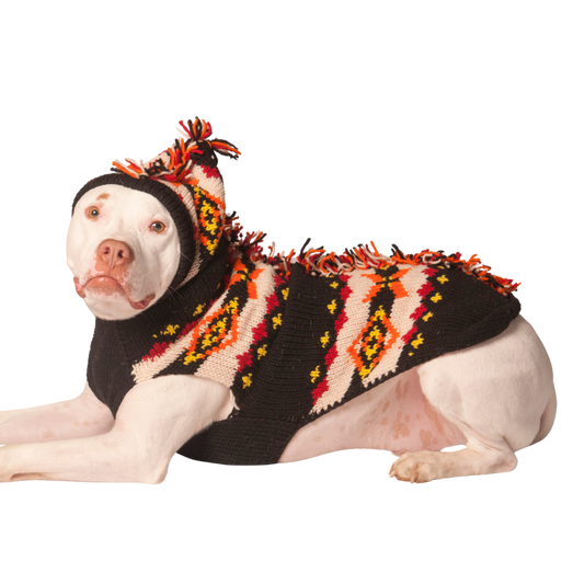 Mohawk Dog Sweater – XS