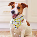 Load image into Gallery viewer, Mondrian Broadway Boogie Woogie Pet Scarf
