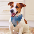 Load image into Gallery viewer, Monet Impression, Sunrise Pet Scarf
