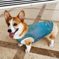 Load image into Gallery viewer, Monet Water Lilies Pet Vest
