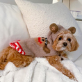 Load image into Gallery viewer, Monkey Hoodie Dog Sweater

