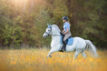 Load image into Gallery viewer, Moonstone Blue Saddle Pad Set
