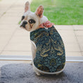 Load image into Gallery viewer, Morris Peacock and Dragon Pet Vest
