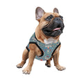 Load image into Gallery viewer, Morris Snakeshead Tank Top
