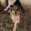 Load image into Gallery viewer, Seasoned Plaid Everyday Bandana
