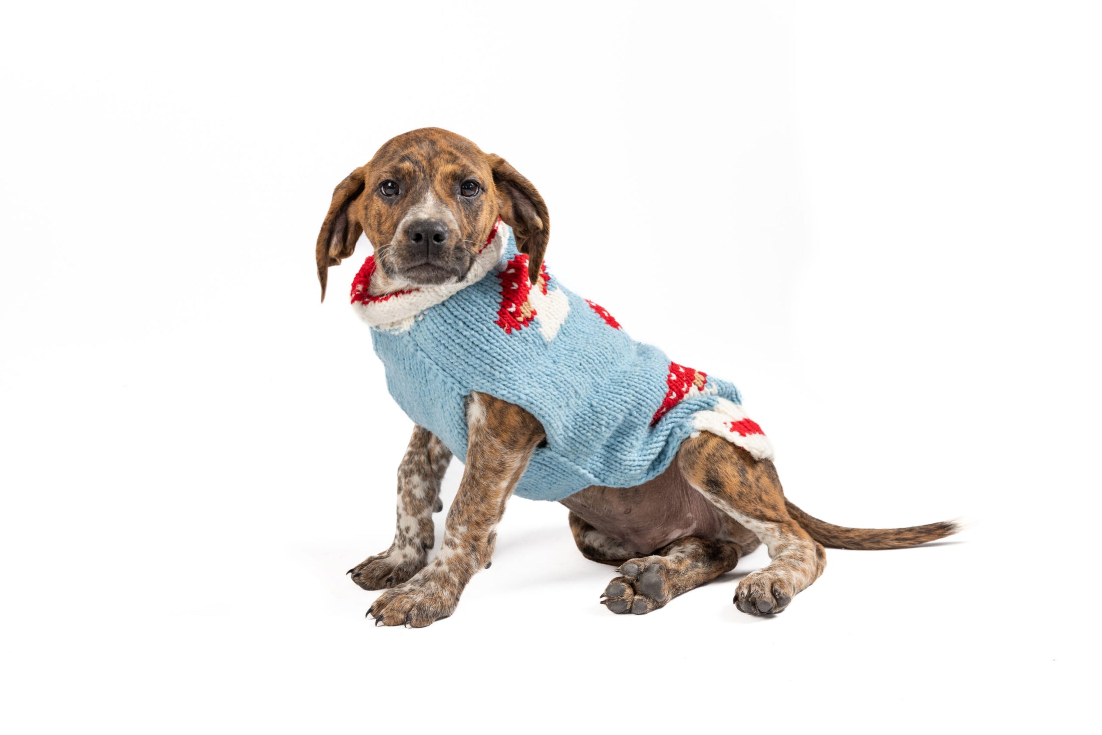 Mushroom Dog Sweater