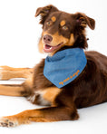 Load image into Gallery viewer, EMBROIDERED BANDANA - Southlake Paws
