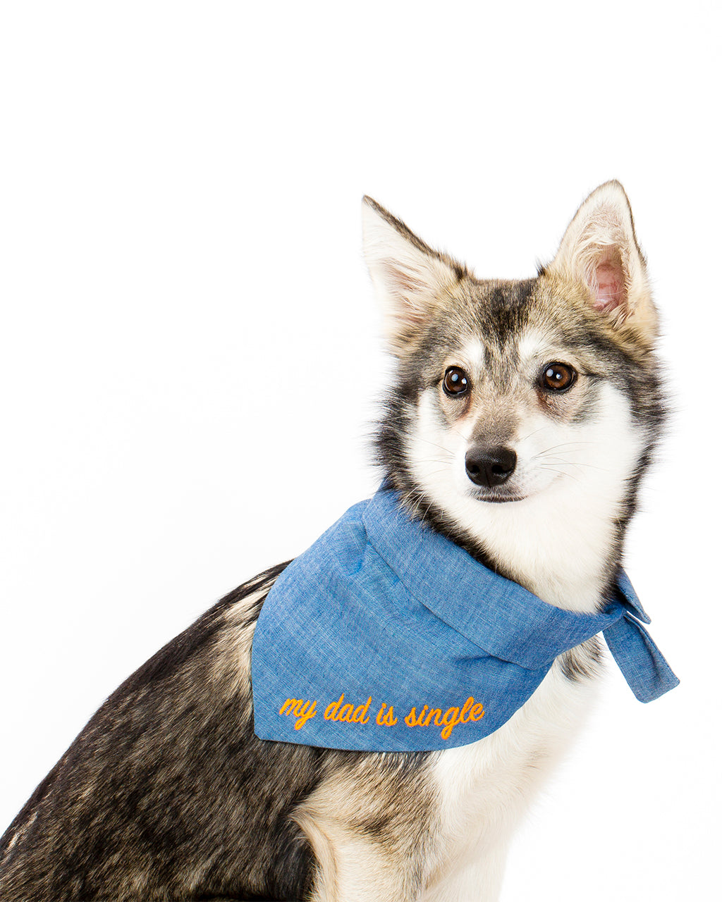 EMBROIDERED BANDANA - Southlake Paws