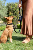 Load image into Gallery viewer, Susan Leash - Vegan Canvas - Southlake Paws
