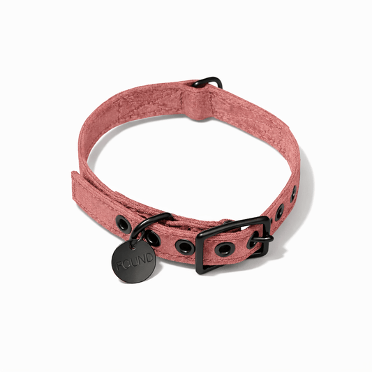 Nantucket Waxed Cotton Canvas Cat & Dog Collar – Matte Black Hardware