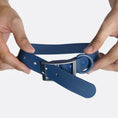 Load image into Gallery viewer, Everyday Collar - Southlake Paws
