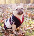 Load image into Gallery viewer, Navy Vail Dog Sweater
