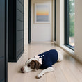 Load image into Gallery viewer, Nooee Pet Polo Wool Sweater – 100% Wool Knit with Classic Collar
