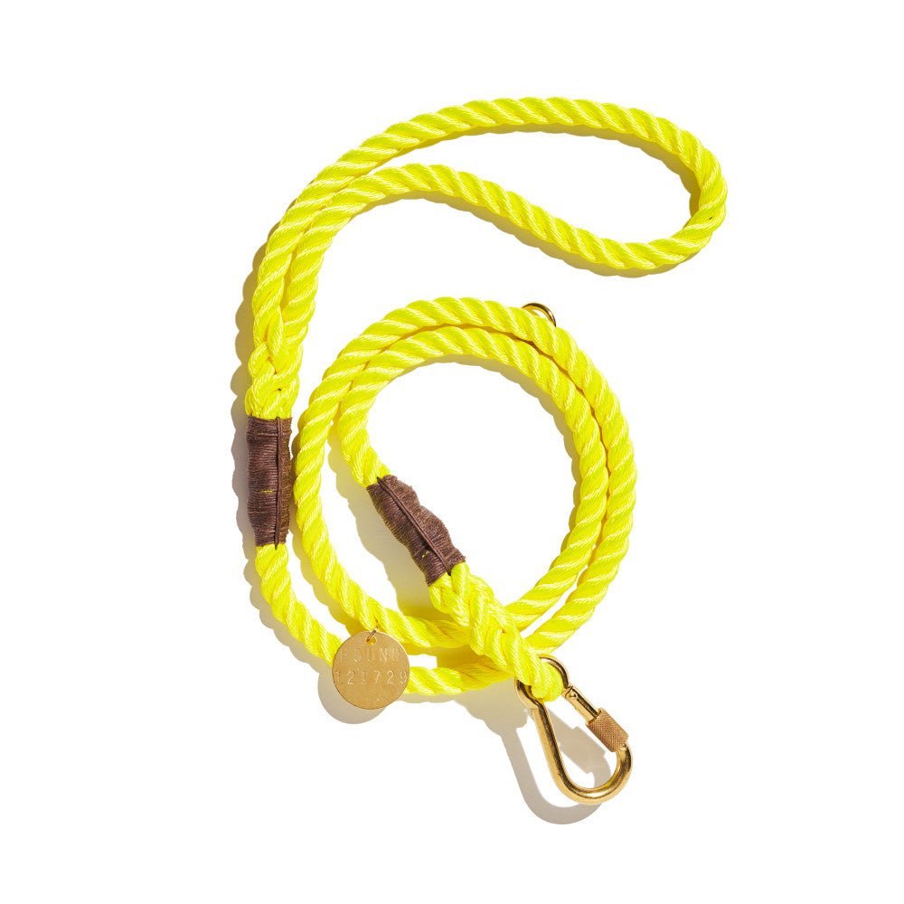Standard 5ft Leads Premium Neon Yellow Rope Leash, Standard