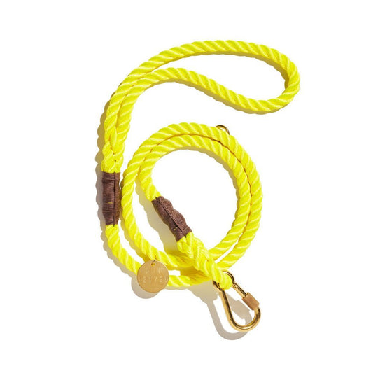 Standard 5ft Leads Premium Neon Yellow Rope Leash, Standard