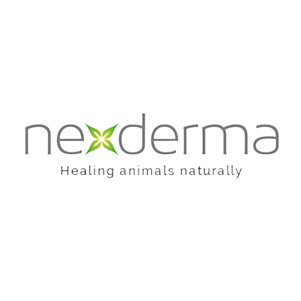 Limited Edition Pumpkin Spice Pet Perfume Gallon by Nexderma