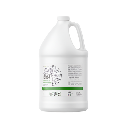 Silvet Mint Antifungal Antimicrobial Shampoo Gallon by Nexderma