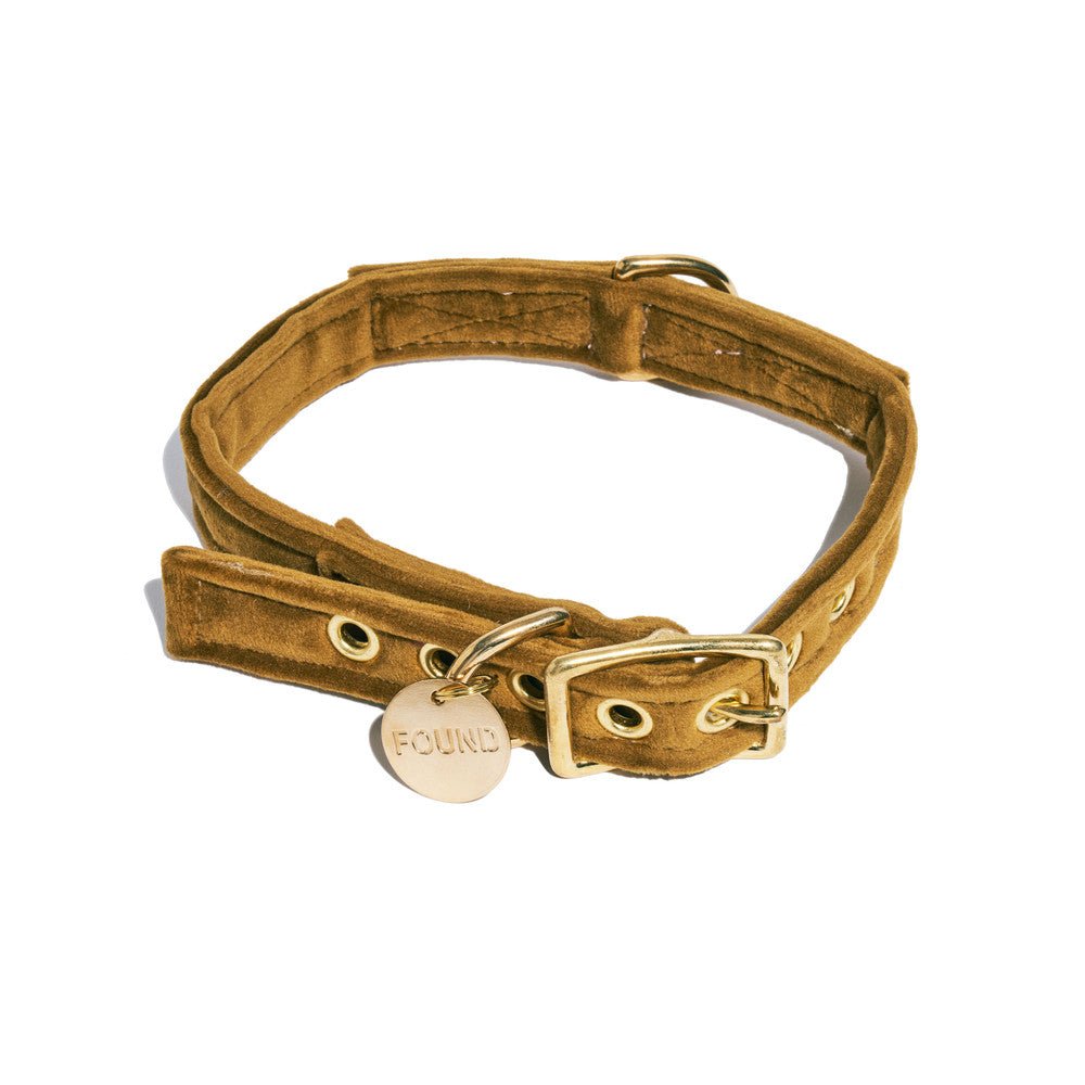 Dog Collars Premium Ochre Washable Velvet Cat & Dog Collar