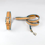 Sky Blue Cross Dog Collar
