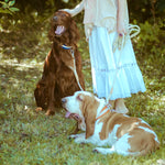 Navy Jute Dog Leash