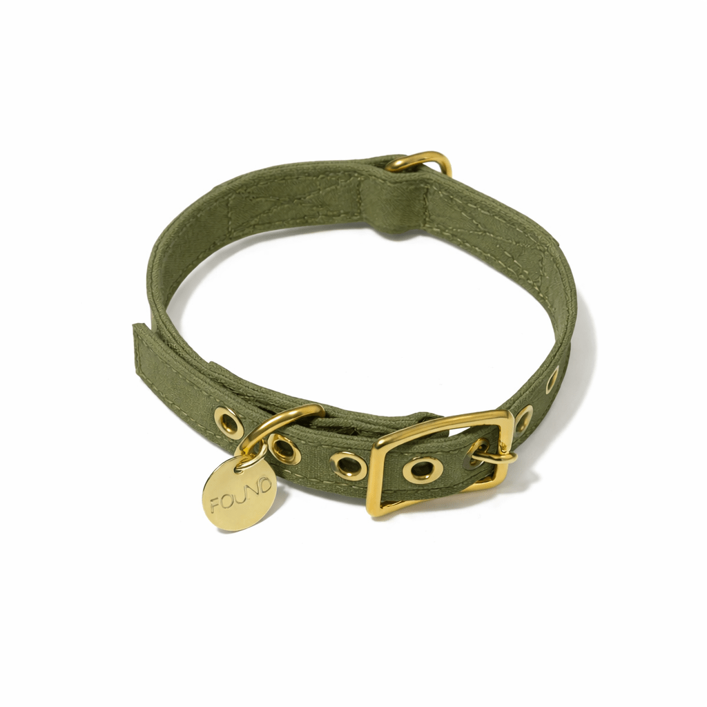 Dog Collars Premium Olive Cotton Canvas Cat & Dog Collar