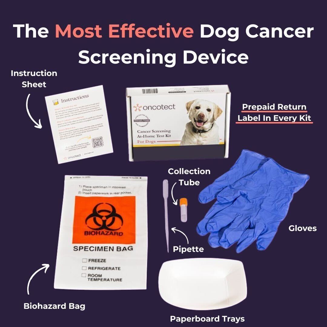 Oncotect Essential At-Home Dog Cancer Screening Test Kit by Southlake Paws, including instruction sheet, gloves, collection t