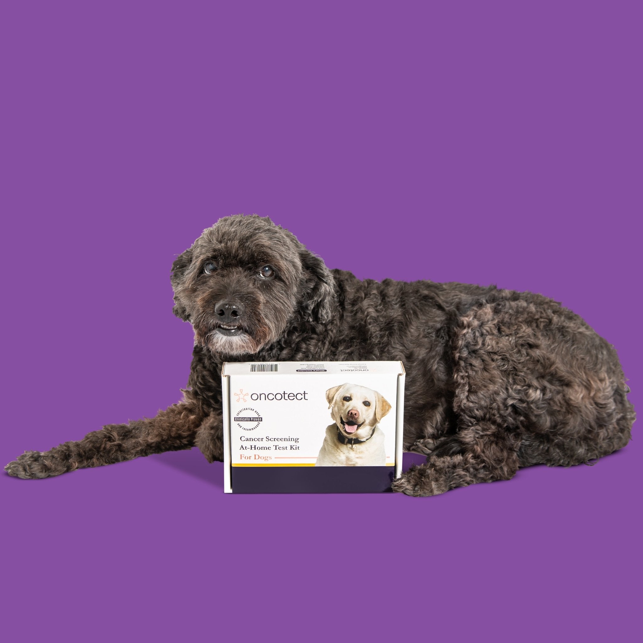 Oncotect Essential At-Home Dog Cancer Screening Test Kit by Southlake Paws, with a dog lying beside the product box.