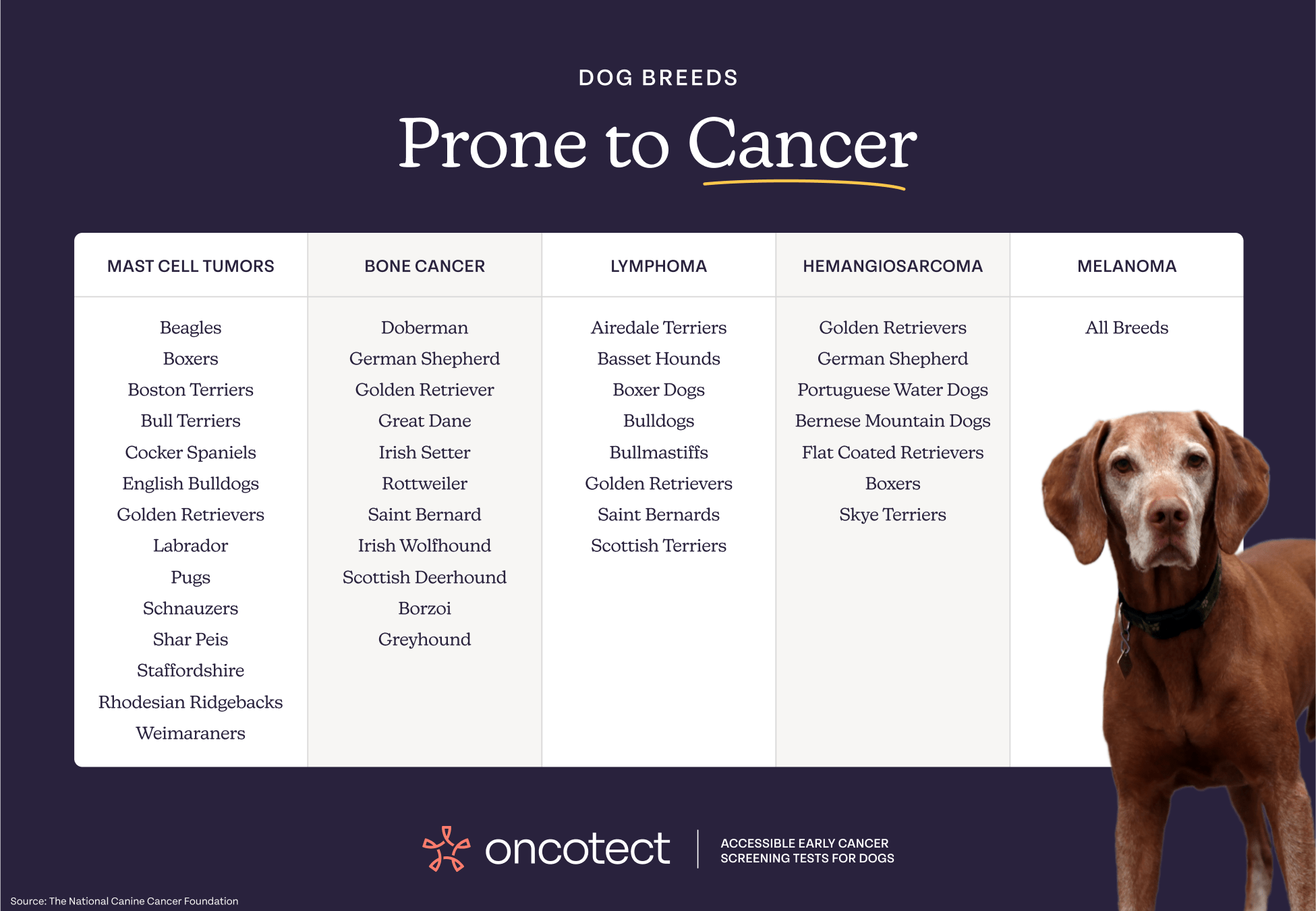 Oncotect Essential At-Home Dog Cancer Screening Test Kit overview, featuring dog breeds prone to various cancers.