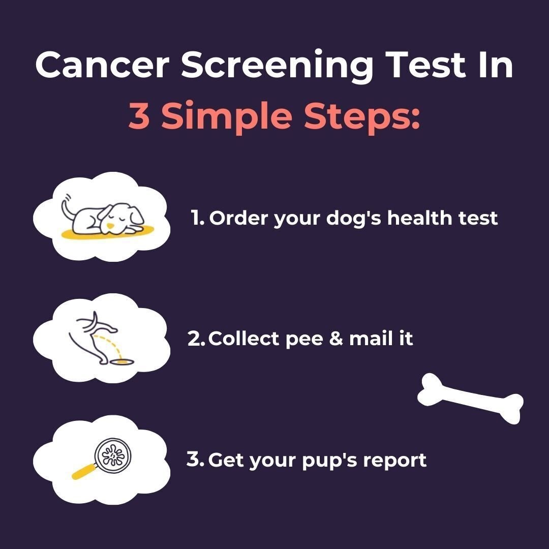 Oncotect Essential At-Home Dog Cancer Screening Test Kit instructions: order test, collect urine, receive report.