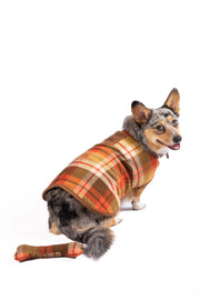 Rust Plaid Dog Coat
