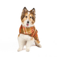 Load image into Gallery viewer, Rust Plaid Dog Coat
