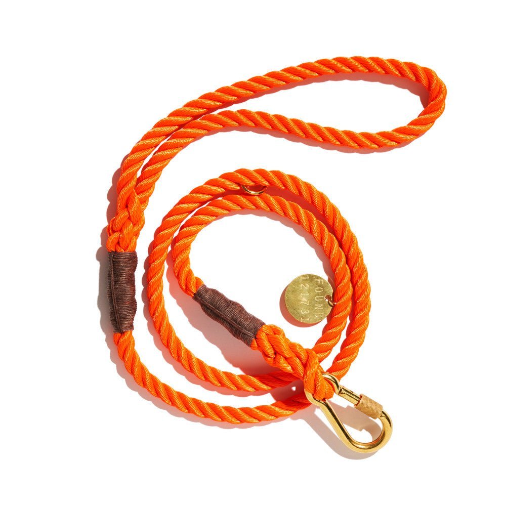 Standard 5ft Leads Premium Orange Rope Dog Leash, Standard