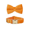 Load image into Gallery viewer, Orange Velvet Set
