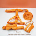 Load image into Gallery viewer, Orange Velvet Set
