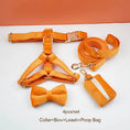 Load image into Gallery viewer, Orange Velvet Set
