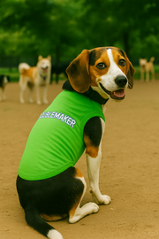 Parisian Pet 'Troublemaker' Dog & Cat T-Shirt – Funny & Comfortable Cotton Shirt, Stylish & Lightweight –Saint Patrick's Day