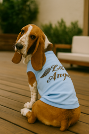 Parisian Pet 'Lil Angel' Dog & Cat T-Shirt – Comfortable & Lightweight Embroidered Novelty Pet Shirt – Light Blue