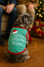 Parisian Pet 'Santa's Little Helper' Dog & Cat Shirt - Christmas Pet Apparel, Green