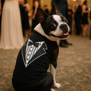 Parisian Pet 'Tuxedo' Stylish Dog Outfit – Premium Cotton Formal Wear for Special Occasions, Black