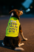 Load image into Gallery viewer, Parisian Pet 'Keep Calm' T-Shirt for Dogs & Cats – Fun & Relaxing Pet Apparel, Light Green

