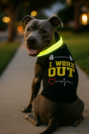 Parisian Pet 'I Work Out' Trendy Dog Apparel – Playful Slogan Dog Shirt for Dogs & Cats, Black